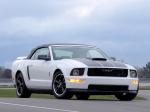 Ford Mustang GT Convertible 2006 года